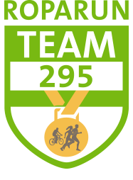 Team 295 Logo